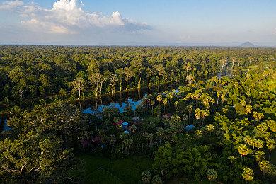 传闻称《皮克敏4》即将推出switch2增强版 新增若干内容